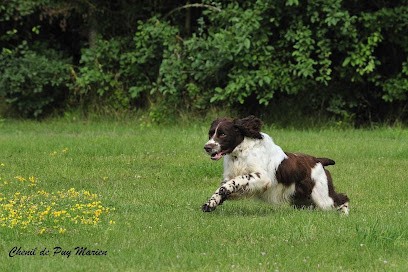 Chenil de Puy Marien, Eleveur de Chiens à La Champenoise