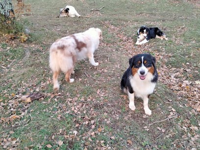 Les Chalets De La Soubranche, Pension pour Chiens à Creysseilles