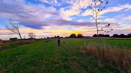 Aux Folles Gambades, Pension pour Chiens à Val-d'Izé