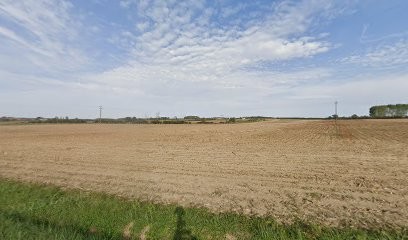 Jeff Minguet Educateur Canin, Dresseur de Chiens à Rives Dervoises