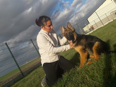 La Ferme Aux Chiens, Pension pour Chiens à Valravillon