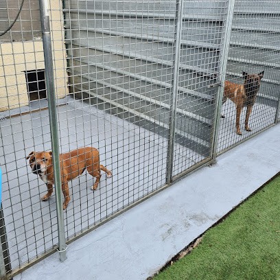 Pension Canine Et Féline , ÉLEVAGE Au Paradis D'Orsy, Pension pour Chiens à La Genétouze
