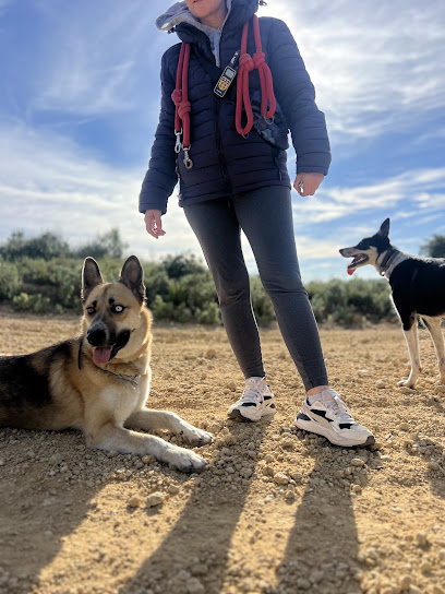 Élodie Educateur Canin Comportementaliste (Titi&Mimi), Dresseur De Chiens à Miramas