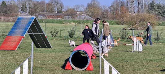 Club Canin Du Val D'Oise, Dresseur de Chiens à Persan
