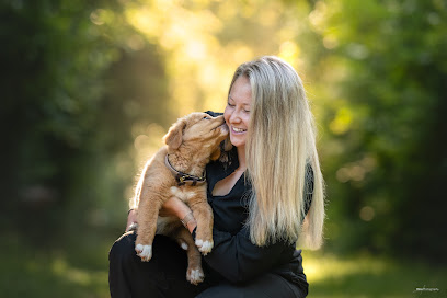 Océ-Chiens Dresseur De Chiens à Choisy-le-Roi