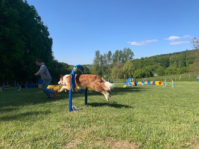 Lucky Dogs, Dresseur de Chiens à Prayssas