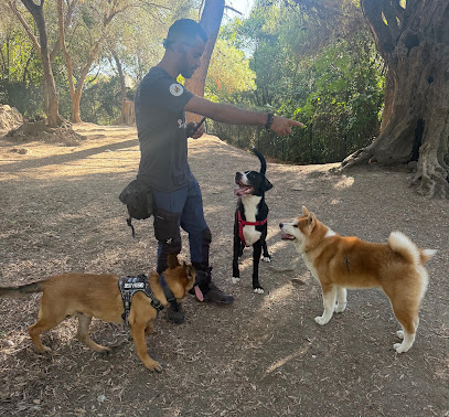 Fa Et Compagnie, Éducateur Comportementaliste Canin, Éducation Et Rééducation Positive Dresseur De Chiens à Roquebrune-Cap-Martin