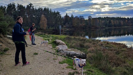 Anim'oï - Services Et Bien-être Animalier, Dresseur de Chiens aux Bessons