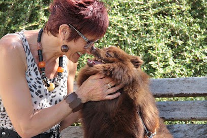 Caylus Roc, Eleveur de Chiens à Saint-Affrique
