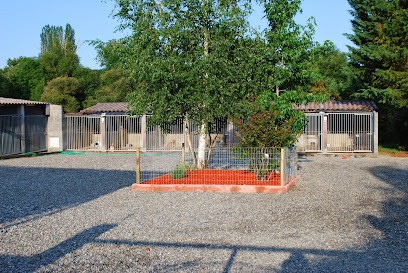 Dorbes Gérard, Pension pour Chiens à Mondavezan