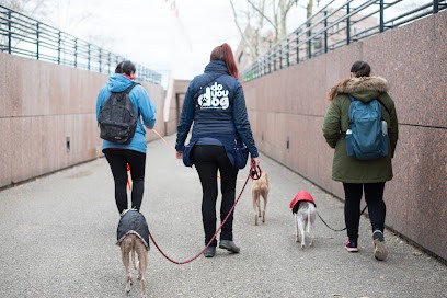 Doyoudog - éducateur Canin Montpellier, Promeneur, Pension, Petsitter, Dresseur de Chiens à Montpellier