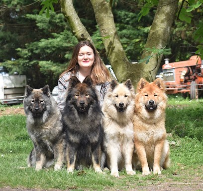 Des Diamants De L'Océan | Élevage familial Eurasier | Pet Sitter/Pension canine familiale, Eleveur de Chiens à Champagnolles