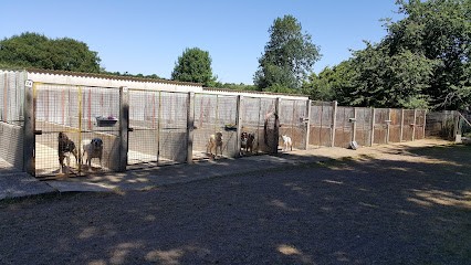 The Domaine du Chigny, Pension pour Chiens à Saint-Vincent-sur-Graon