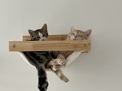 La Pension Canine Et Féline De Joinville Le Pont, Pension pour Chiens à Joinville-le-Pont