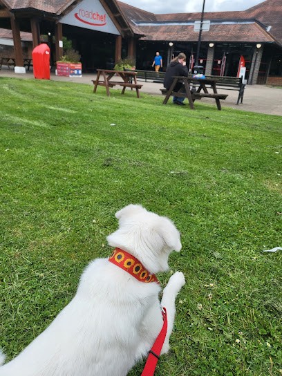 Elevage Du Val Du Croquet, Eleveur de Chiens à Oye-Plage