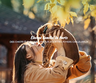 L'Elevage Familial de Hartz, Eleveur de Chiens à Kergloff