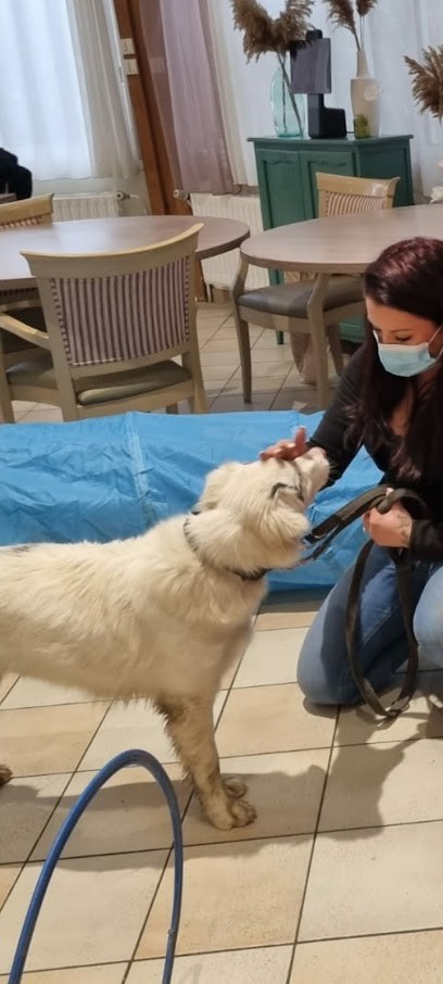 LUCKY DOG, Dresseur de Chiens aux Pennes-Mirabeau
