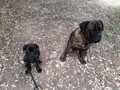 Des gardiens de l'eau vive, Eleveur de Chiens à Saulce-sur-Rhône