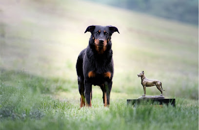 Elevage De La Bergerie D'elan ~ Beaucerons Noir Et Feu Et Arlequin ~ Aveyron, Éleveur De Chiens au Truel