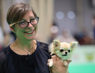 Complexe canin et élevage du royaume de Maia - Eleveur de Chihuahua LOF poil long et poil court, Eleveur de Chiens à Léchelle