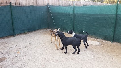 Pension de nos amis poilus, Pension pour Chiens à Saint-Fréjoux