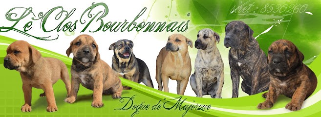 Nouka's Bande, Eleveur de Chiens à Charny Orée de Puisaye