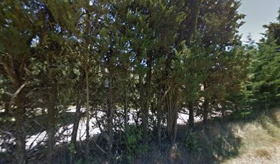 Les Gardiens Du Rouvergue, Eleveur de Chiens à Chantemerle-lès-Grignan