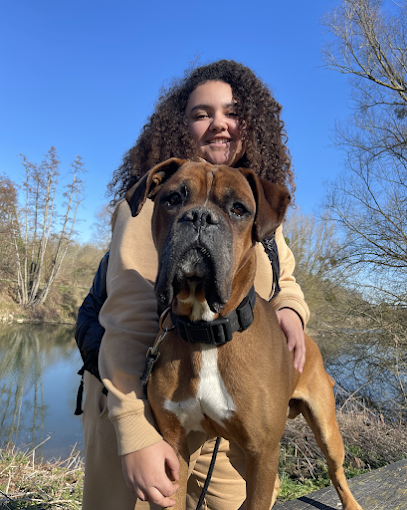 Jé And Co' - Éducateur Canin, Dresseur De Chiens au Plessis-Pâté