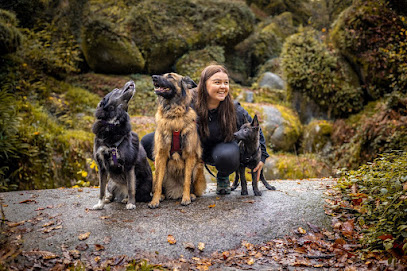 Sai & Co Éducateur Canin Comportementaliste Dresseur De Chiens à Elliant