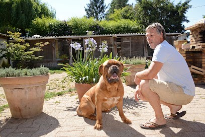 Pension La Pauberthilaine, Pension pour Chiens à Saint-Didier-sur-Chalaronne