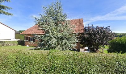 gentleman canin, Pension pour Chiens à Zetting