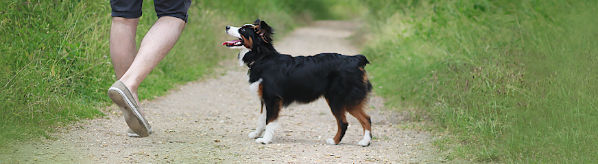 Cynofeel - Education & Comportement Canin Dresseur De Chiens à la Farlède