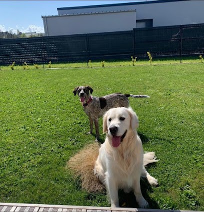 educadog, Dresseur de Chiens à Malakoff
