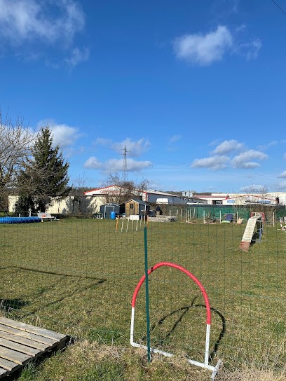 Club canin Team Dog, Dresseur de Chiens à Varennes Sur Seine