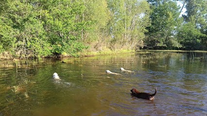 Elevage De La Vallée Du Trèfle, Eleveur de Chiens à Gujan-Mestras