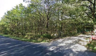 Bugeia Charles Sauveur Ange, Pension pour Chiens à Sully-sur-Loire