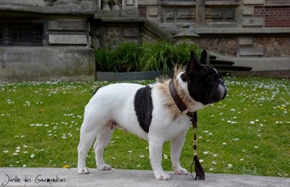 Élevage Du Jardin Des Gourmandises, Eleveur de Chiens à Écrainville