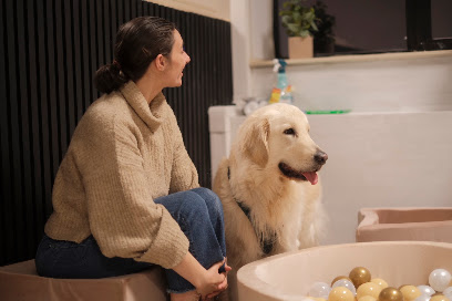 Doggy's Pension Pour Chien à Vincennes