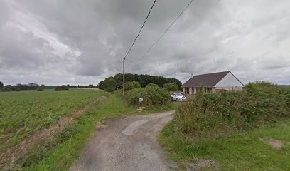 Elevage les Embruns d 'Etretat Basset-Fauve-de-Bretagne, Eleveur de Chiens à Villainville