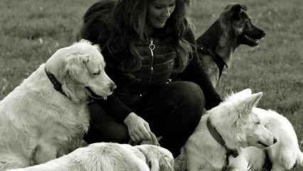 Une Autre écoute - Education Canine Et équine, Dresseur de Chiens à Seltz