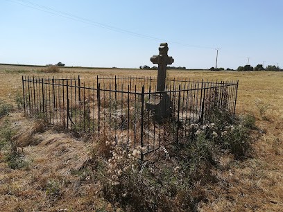 Dog & Co., Dresseur de Chiens à Lessard-et-le-Chêne