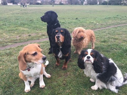 Les Mascottes - Education canine, Dresseur de Chiens au Vésinet