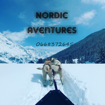 Chiens de traineaux Tarentaise, Eleveur de Chiens à Planay