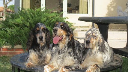 Elevage du Terroir de Saintonge, Eleveur de Chiens à Espalais