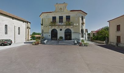 CERBERES LEGEND - Elevage Cane Corso LOF, Eleveur de Chiens à Magescq