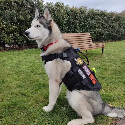 Ram's Éduc'canin Éxpertise + Dresseur De Chiens à Lons