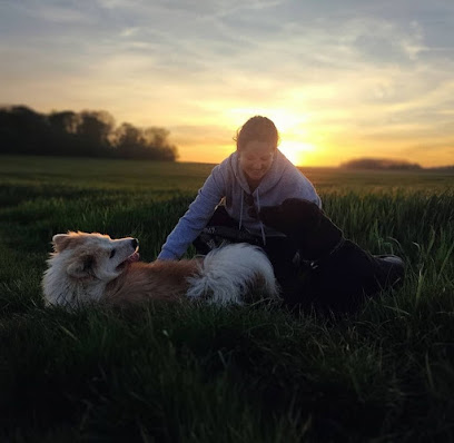 Ysakar Education - Éducateur Canin Comportementaliste - Sud Ouest, Dresseur De Chiens à Ozourt