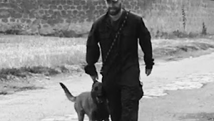 Samitidog Dresseur De Chiens au Pin