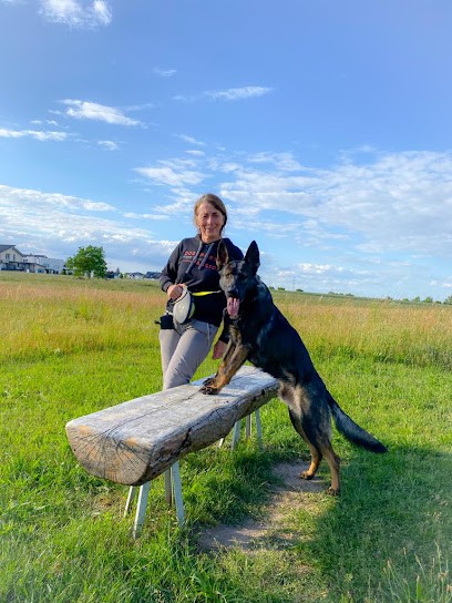 La Légende de Chantevent, Pension pour Chiens à Saint-Augustin
