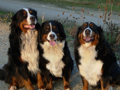 La Paix Retrouvée, Eleveur de Chiens à Bussières
